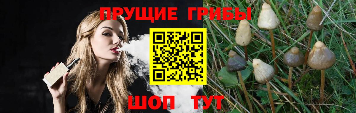 NBOMe  Гашиш  Коркино  МЕТ  МЕФ кристаллы  COCAIN  Лсд 25  ГАШИШ  Вход с VPN 